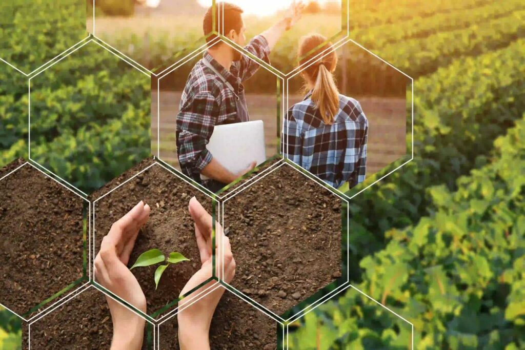 Tìm hiểu du học Úc ngành Nông nghiệp Tìm hiểu du học Úc ngành Nông nghiệp