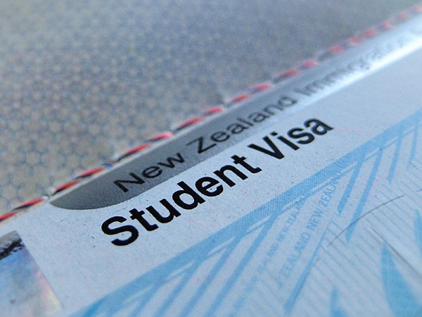 Quy trình xin visa du học New Zealand chi tiết